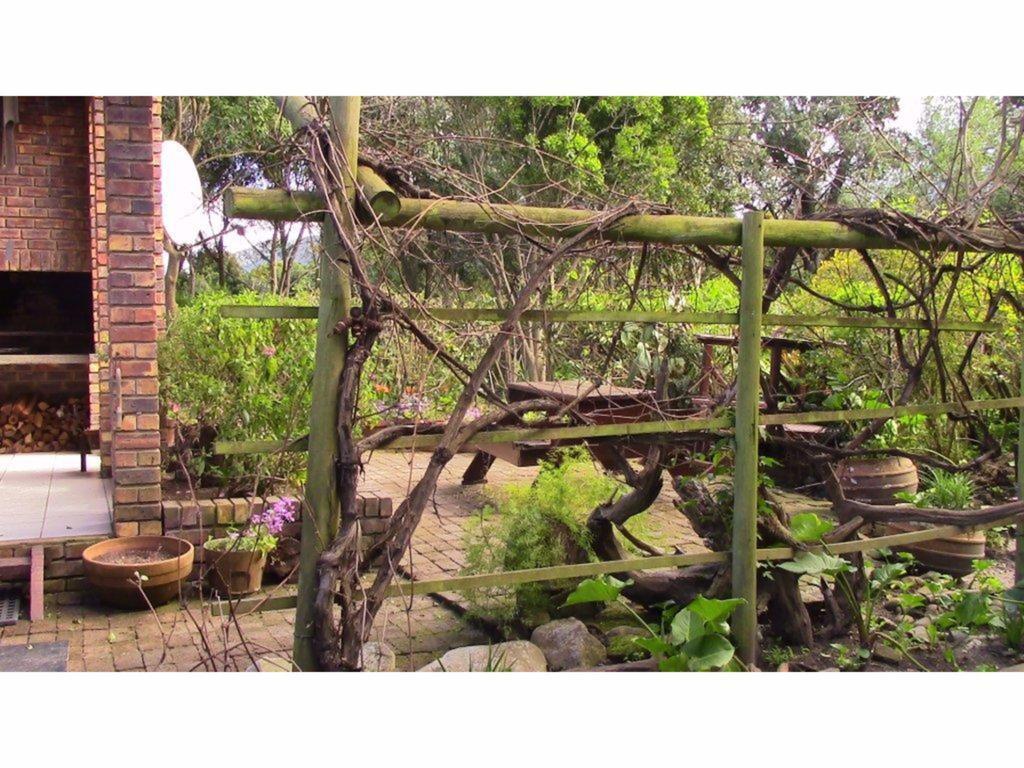 Forest Nest Cottage, Tsitsikamma Stormsrivier Exterior photo